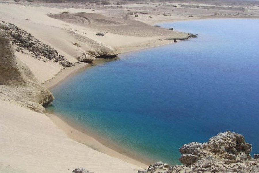20- Turtles bay