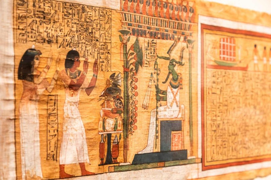 National Museum of Egyptian Civilization and Citadel Tour