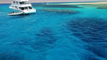 Tiran Island Snorkeling: Is it Better than Ras Mohammed?