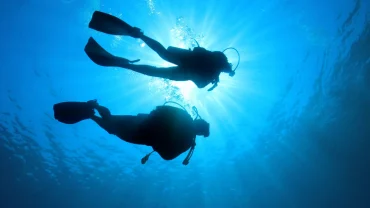 Diving for Beginners
